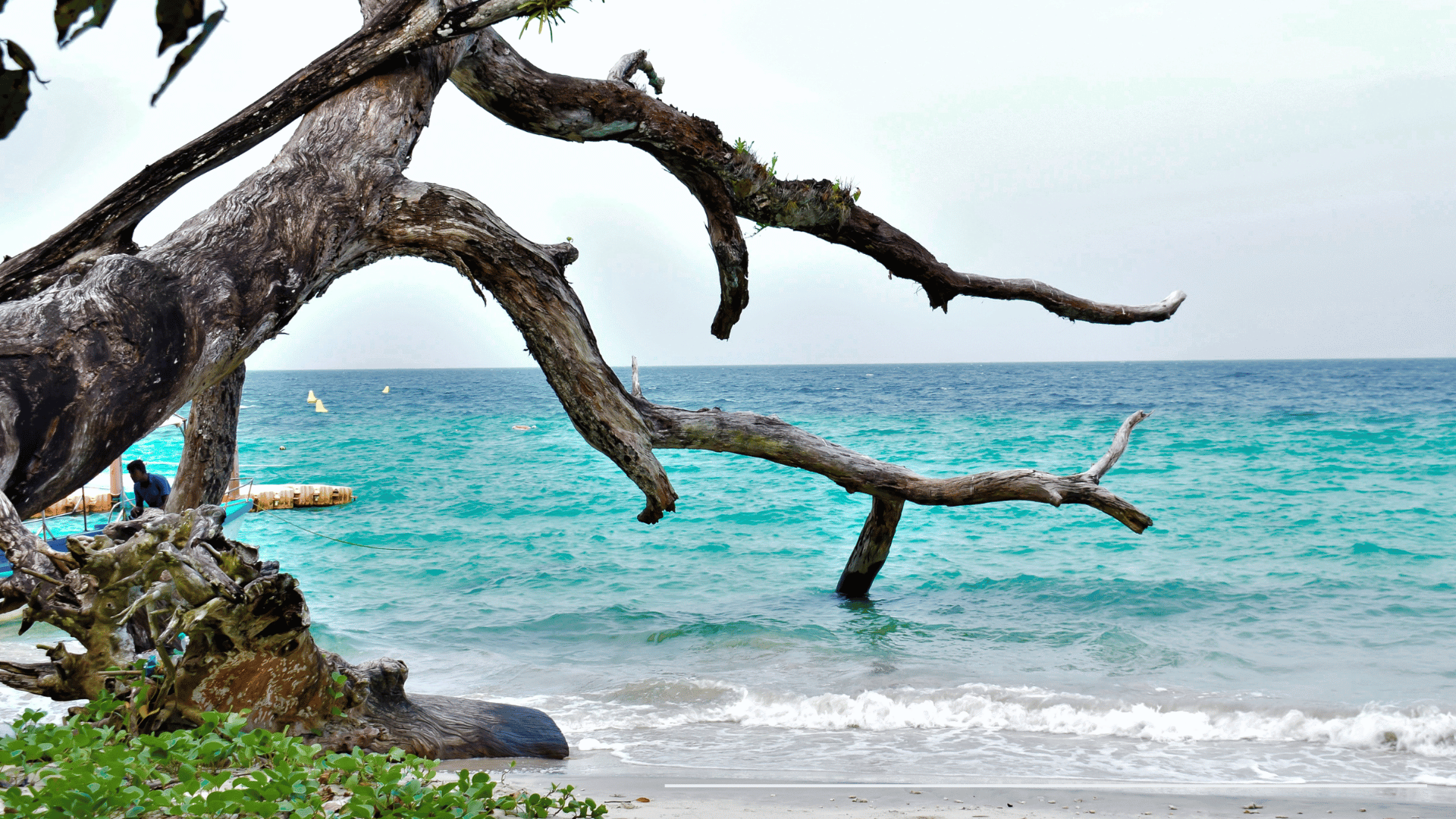 Neil Island Travel Guide: How to Reach, What to Do & Where to Stay